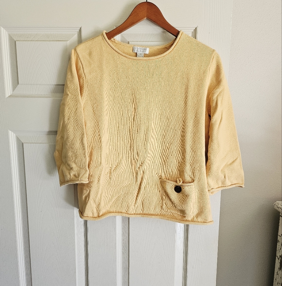 Christopher & Banks XL Sweater Good Used Condition
